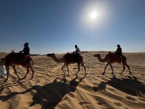 Naik Unta dan Dune Bashing, Ini Rasanya Safari di Padang Pasir Abu Dhabi Naik Unta dan Dune Bashing, Ini Rasanya Safari di Padang Pasir Abu Dhabi