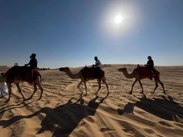 Potret Safari di Abu Dhabi: Naik Unta & Kebut-kebutan Mobil Offroad