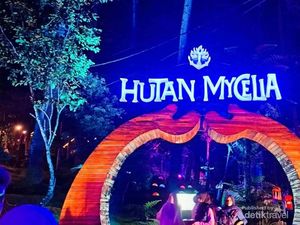 Wisata Malam di Bandung: Hutan Mycelia Cikole Wisata Malam di Bandung: Hutan Mycelia Cikole