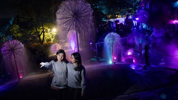 Wahana Hutan Cahaya Sambut Liburan Akhir Tahun di Bandung Barat