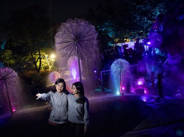 Wahana Hutan Cahaya Sambut Liburan Akhir Tahun di Bandung Barat