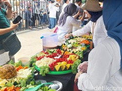 Menghidupkan Kembali Kejayaan Mangga Gedong Gincu di Tanah Asalnya