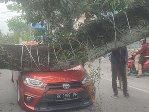 Pohon Besar Tumbang Timpa 4 Mobil di Jalan Abdullah Lubis Medan Pohon Besar Tumbang Timpa 4 Mobil di Jalan Abdullah Lubis Medan