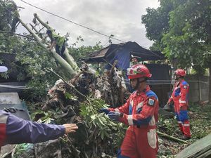 Pohon Tumbang Timpa Rumah Warga di Ciracas Jaktim