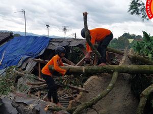 Pohon Tumbang Imbas Angin Kencang Timpa Tiga Rumah Warga di Bogor
