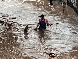 Warga Dompu Terseret Arus Sungai Saat Hendak Selamatkan Ternak Sapi