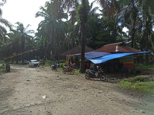 Akses Masuk Perkebunan di Bengkulu Diblokade Warga Selama 41 Hari