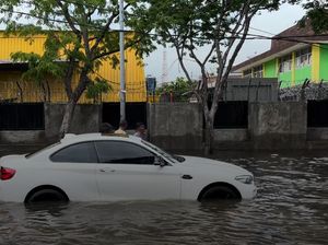 BMW Mogok Terobos Banjir Rob, Catat Batas Aman Lewati Genangan Air BMW Mogok Terobos Banjir Rob, Catat Batas Aman Lewati Genangan Air
