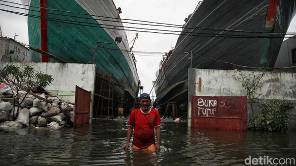 Banjir Rob Setinggi 80 Cm Rendam Komplek Galangan Kapal Muara Angke