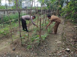 Bhabinkamtibmas Lamongan Galakkan Penanaman Tanaman Pangan Bergizi