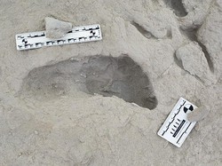 Ada Jejak Kaki Hominin di Dekat Danau, Bukti Manusia Purba Hidup Berdampingan