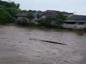 Gajah Bali Zoo Hanyut Saat Hendak Menuju Kandang Gajah Bali Zoo Hanyut Saat Hendak Menuju Kandang