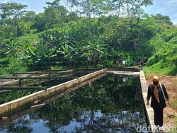 IPAL TPSA Ciangir Tasikmalaya Rusak, Limbah Hitam Mengalir ke Sungai