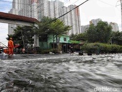 Video: Muara Angke Masih Terendam Banjir Rob, Ketinggian Air Capai 90 Cm