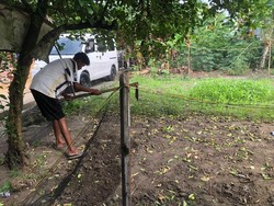 Warga Desa Ini Dapat Sambungan Listrik Gratis, Kini Tak Khawatir Gelap