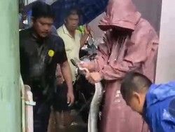 Ular Piton 2 Meter Muncul di Jalanan Makassar Saat Banjir, Sempat Dikira Kayu
