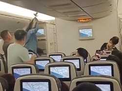 Burung Terbang di Dalam Pesawat, Penumpang Heboh