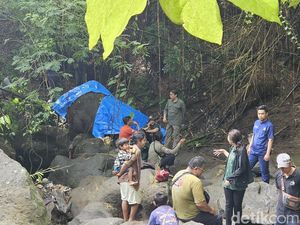 Sedih! Gajah Moly Ditemukan Mati Usai Hanyut di Sungai Sedih! Gajah Moly Ditemukan Mati Usai Hanyut di Sungai