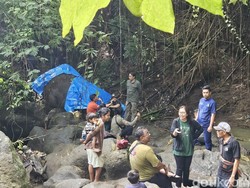 Bangkai Gajah Moly Mulai Menebarkan Bau Busuk