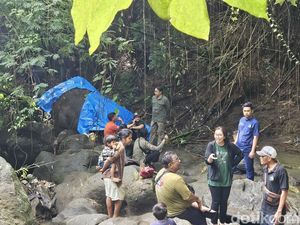 Bangkai Gajah Moly Mulai Menebarkan Bau Busuk Bangkai Gajah Moly Mulai Menebarkan Bau Busuk