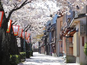 91% Turis Indonesia OTW Luar Negeri, Jepang-Korsel Jadi Pilihan 91% Turis Indonesia OTW Luar Negeri, Jepang-Korsel Jadi Pilihan