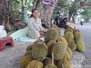Lubuklinggau Mulai Musim Durian, Para Pedagang pada Cuan