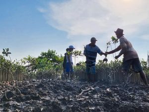 BRGM Targetkan Rehabilitasi Mangrove di Sumut 6.078 Ha Melalui M4CR BRGM Targetkan Rehabilitasi Mangrove di Sumut 6.078 Ha Melalui M4CR