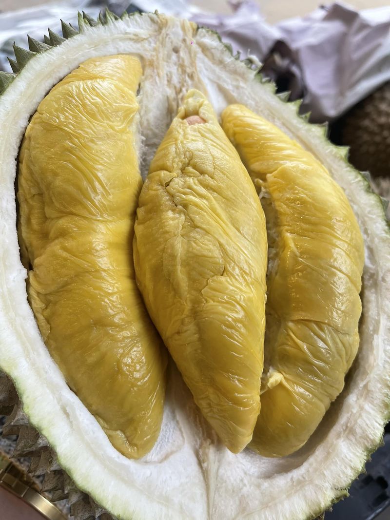 Penjual Durian Ketipu Rp 4,7 Juta Usai Kirim 10 Kotak Durian Tanpa DP