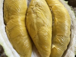 5 Makanan dan Minuman yang Bahaya Jika Dimakan Bareng Durian