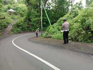 Keluarga Asal Bantul Kecelakaan Saat Motoran di Buleleng, Istri Tewas