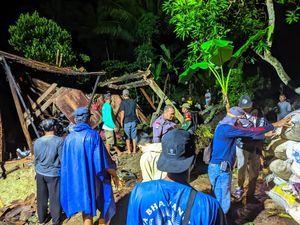 Rumah di Temon Kulon Progo Ambruk Tertimpa Pohon Sengon