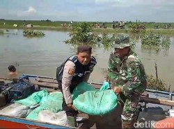 Tanggul Kali Ingas Jebol, Puluhan Hektare Sawah di Bojonegoro Kebanjiran