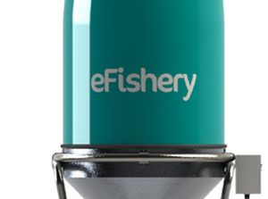 Berkenalan dengan Interim CEO eFishery, Diaspora yang Kembali ke RI Berkenalan dengan Interim CEO eFishery, Diaspora yang Kembali ke RI