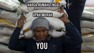 Meme Netizen Pajak 12% Mulai 2025, Semangat Gaes!