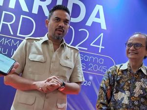 Menteri UMKM Sebut Jamkrida Cuma Ada di 18 Provinsi Menteri UMKM Sebut Jamkrida Cuma Ada di 18 Provinsi