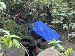 Video BKSDA Evaluasi Bali Zoo Seusai Gajah Moly Hanyut di Sungai