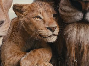 Jadwal Bioskop Jogja Hari Ini 23 Desember 2024: Sudah Nonton Kisah Mufasa?