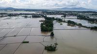 Foto Udara Ribuan Hektare Sawah Terendam Banjir di Banten