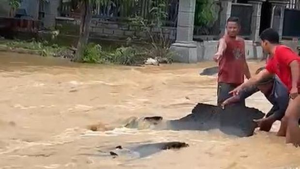Aspal jalan kabupaten di Tuban mengelupas usai kebanjiran padahal gres beres diaspal sehari.