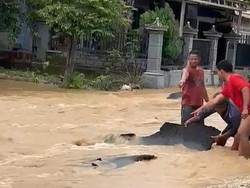 Dinas PUPR Tuban Buka Suara Aspal Jalan Kabupaten Terkelupas Kena Banjir