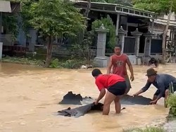 6 Fakta Viral Jalan di Tuban Terkelupas Kena Banjir padahal Baru Diaspal