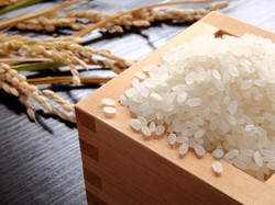 Belasan Toko Modern di Kulon Progo Tarik Beras Kemasan Buntut Isu Oplosan