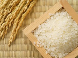 Zulhas Jamin Beras Premium Lokal Bebas PPN 12%, Shirataki yang Kena