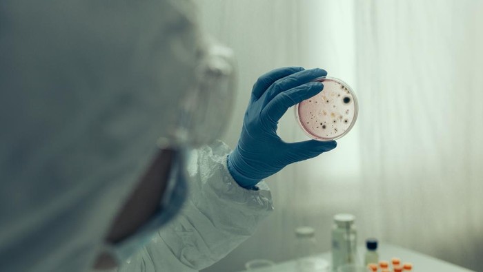Unrecognizable scientist examining virus in petri dish in a laboratory
