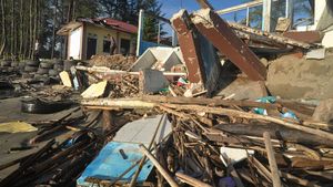 Konservasi Penyu Rusak Akibat Abrasi Pantai di Bengkulu