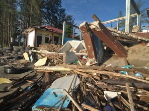 Konservasi Penyu Rusak Akibat Abrasi Pantai di Bengkulu Konservasi Penyu Rusak Akibat Abrasi Pantai di Bengkulu