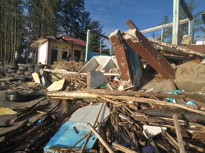 Konservasi Penyu Rusak Akibat Abrasi Pantai di Bengkulu