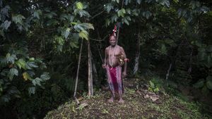 Menjaga Hutan Sumber Kehidupan Suku Moi