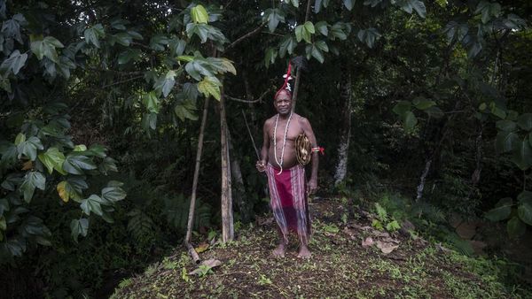 Menjaga Hutan Sumber Kehidupan Suku Moi