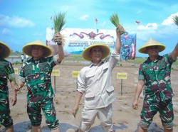 Duet Anak Babinsa Lomba Tanam: Satu Anak Serka, Satunya Anak Serma